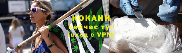 дмт Абаза